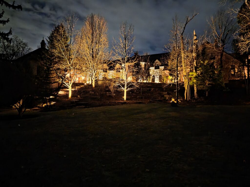 tree lighting